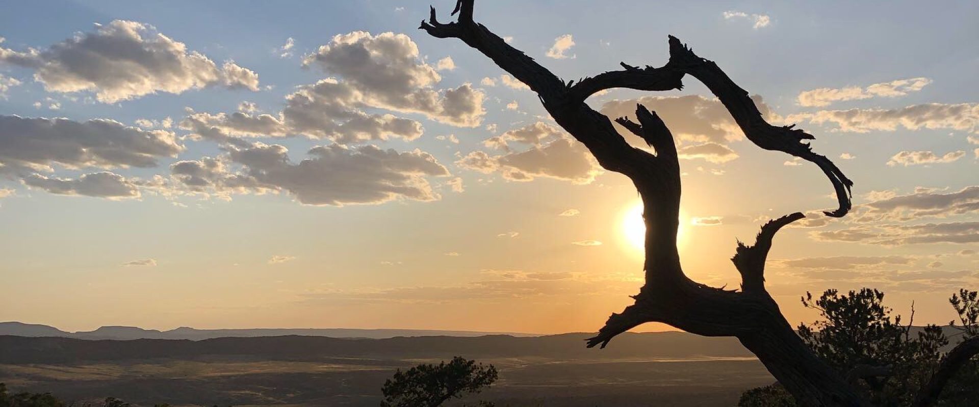 2CA011F1-B2AB-4515-8B3B-1CBB0F387961